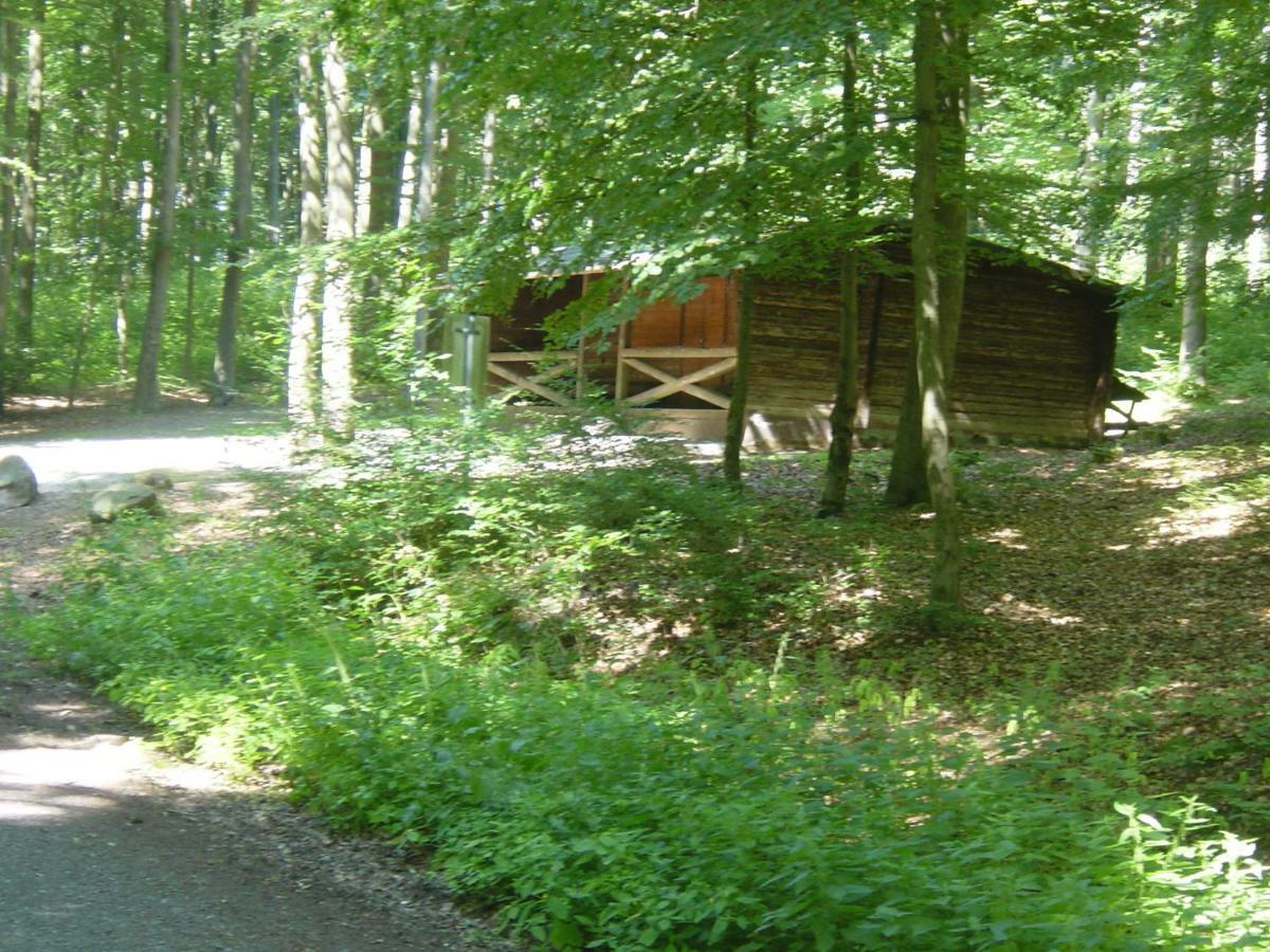 Haus Am Wald Apartamento Hillscheid Exterior foto